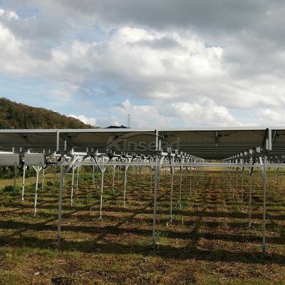 نظم تركيب المزارع الشمسية الزراعية